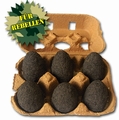 BLUMENBOMBE - SET REBELL MIT 6 BLUMENBOMBEN