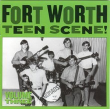 VARIOUS ARTISTS - Fort Worth Teen Scene Vol. 3
