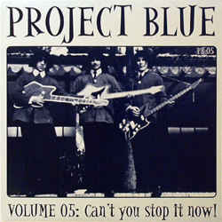 VARIOUS ARTISTS - Project Blue Vol. 5