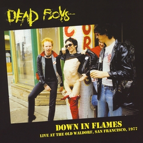 DEAD BOYS - Down In Flames - Live At The Old Waldorf, San Francisco 1977