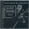 MUDDY WATERS