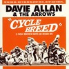 DAVIE ALLAN AND THE ARROWS