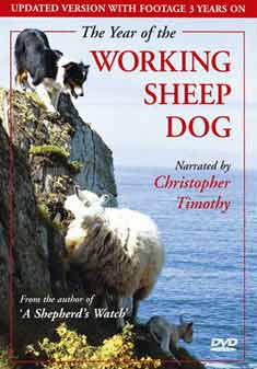 YEAR OF THE WORKING SHEEPDOG (DVD)