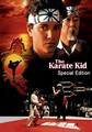 KARATE KID SPECIAL EDITION  (DVD)