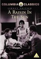 RAISIN IN THE SUN  (DVD)