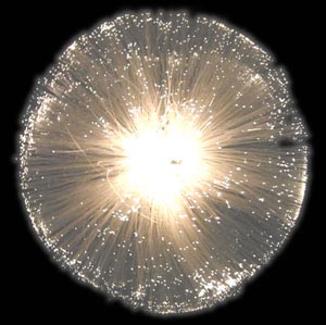 Sirius Lysball