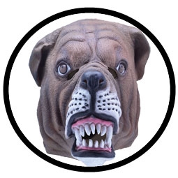 Bulldogge Maske Erwachsene - Klicken fr grssere Ansicht