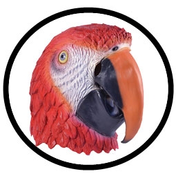 Papagei Maske Erwachsene - Klicken fr grssere Ansicht