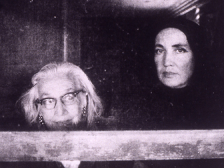 Grey Gardens - b/w Bild