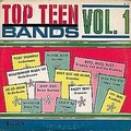 VARIOUS ARTISTS - Top Teen Bands Vol. 1