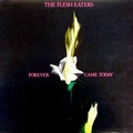 FLESH EATERS - Forever Came Today