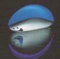 1 x ADUKI - BLAU/ROT