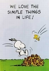 1 x PEANUTS THE SIMPLE THINGS - POSTER
