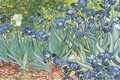 Vincent van Gogh - Les Iris