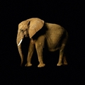 Fototapete Elefant Vlies - Elephant