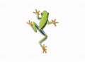 Fototapete Frosch Vlies - Frog