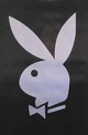 PLAYBOY - LOGO