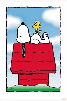 Peanuts Snoopy - Poster