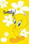 Looney Tunes Tweety  - Poster