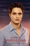Twilight Breaking Dawn Poster Part 1 Edward