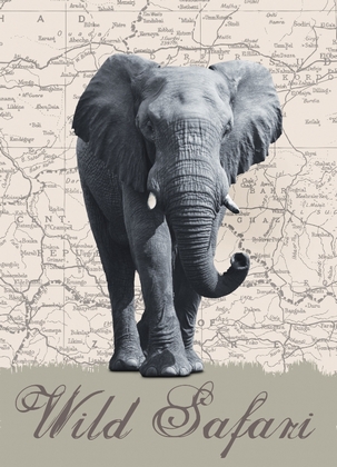 Fototapete - Elefant - Wild Safari - Klicken fr grssere Ansicht