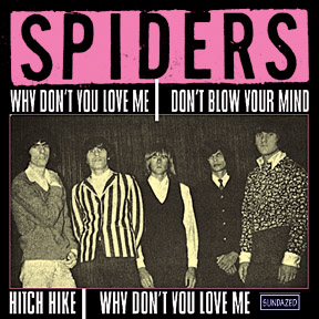 SPIDERS - Spiders