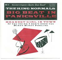 KING NORMALS - Big Beat In Panicsville