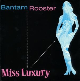 BANTAM ROOSTER - Miss Luxury