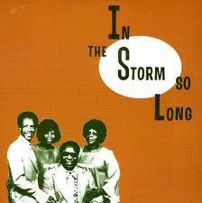 VARIOUS ARTISTS - In The Storm So Long