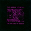 SISTERS OF MERCY