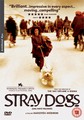 STRAY DOGS  (DVD)
