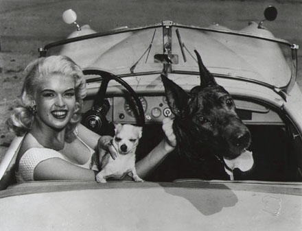 Jayne Mansfield - Car & Dogs