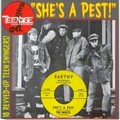 1 x VARIOUS ARTISTS - SHE'S A PEST!