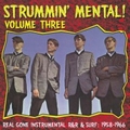 VARIOUS ARTISTS - Strummin Mental Vol. 3