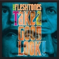 FLESHTONES - Take A Good Look!