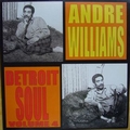 1 x ANDRE WILLIAMS - DETROIT SOUL VOL. 4