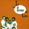 1 x VARIOUS ARTISTS - IN THE STORM SO LONG