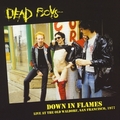 1 x DEAD BOYS - DOWN IN FLAMES - LIVE AT THE OLD WALDORF, SAN FRANCISCO 1977