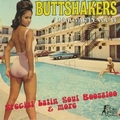 1 x VARIOUS ARTISTS - BUTTSHAKERS SOUL PARTY VOL. 13