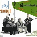 BARNSHAKERS - Cool Enough