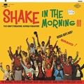 2 x VARIOUS ARTISTS - SHAKE IN THE MORNING!!!
