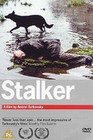 STALKER (DVD)