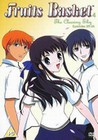 2 x FRUITS BASKET 4 