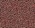 Tapete - Leopard - Rot - Schwarz
