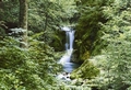 Fototapete - Wasserfall - Waterfall in Spring