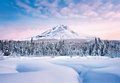 Fototapete Alaska schneebedeckter Berg Schneelandschaft