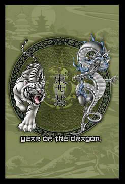 Tiger and Dragon