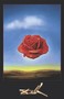 Rose M�ditative