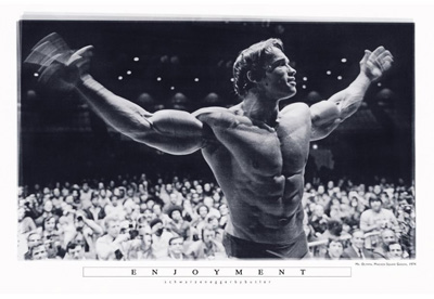 Arnold Schwarzenegger Poster Enjoyment