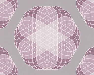 Tapete - Contzen Papers - Linear Flowers - Violett